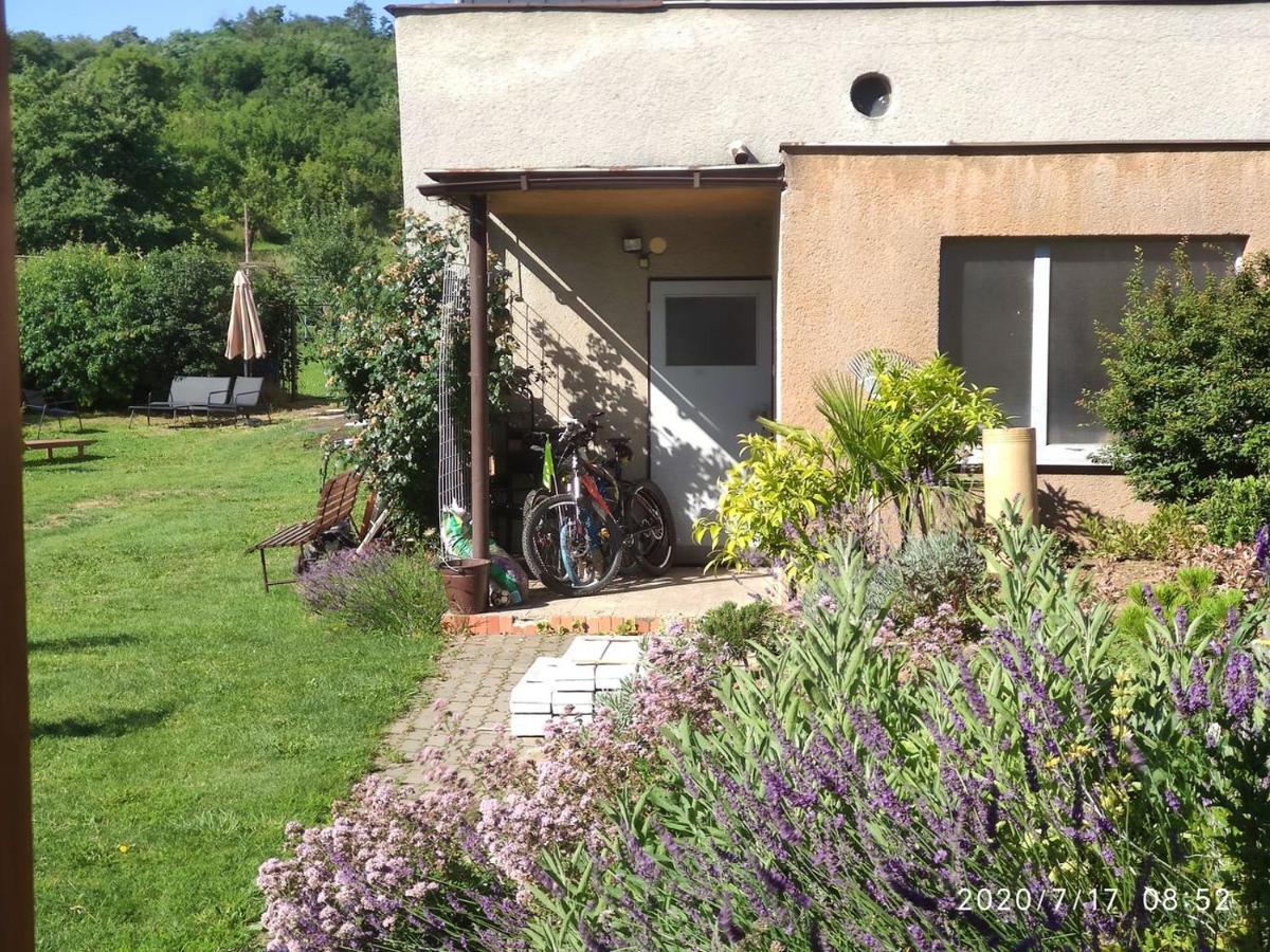 Apartmán Lenka II Borsice Exterior foto